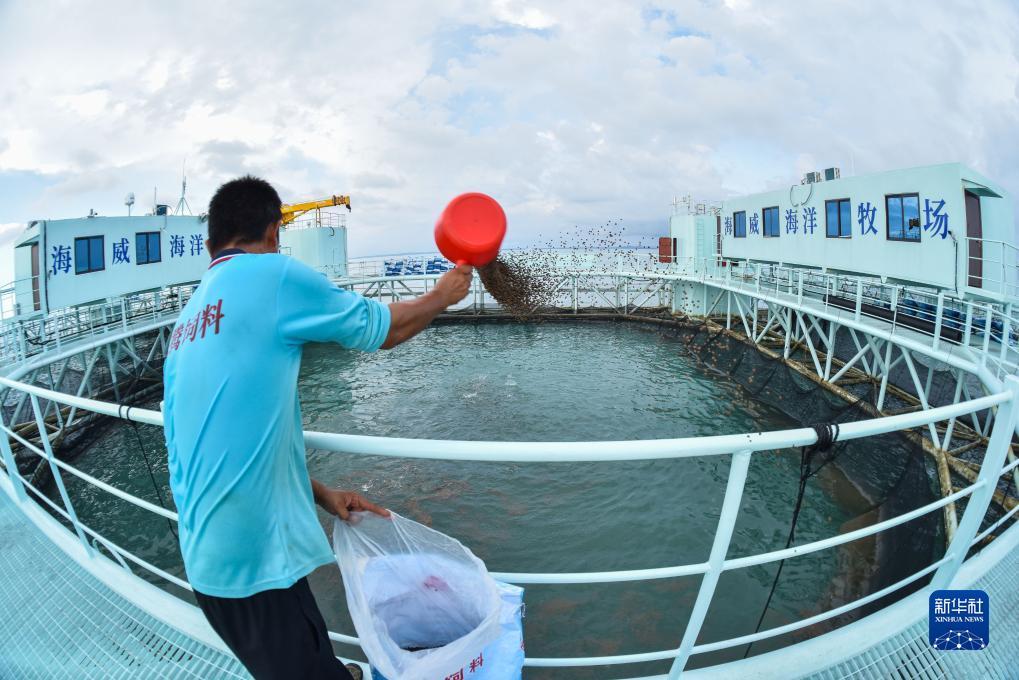巴黎人线路检测